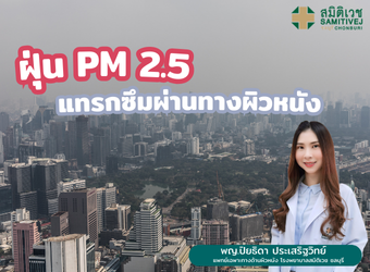 ฝุ่น PM 2.5 แทรกซึมผ่านทางผิวหนัง _2