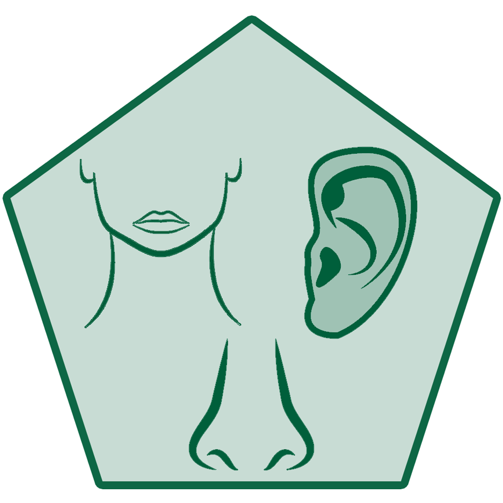 Ear Nose and Throat Center-icon